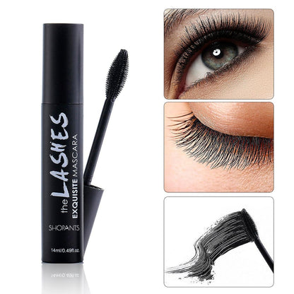 4D Waterproof Mascara - Pretty Little Wish.com