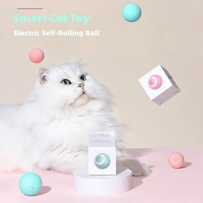 Smart Cat Interactive Ball Toys - Pretty Little Wish.com