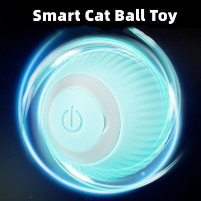 Smart Cat Interactive Ball Toys - Pretty Little Wish.com