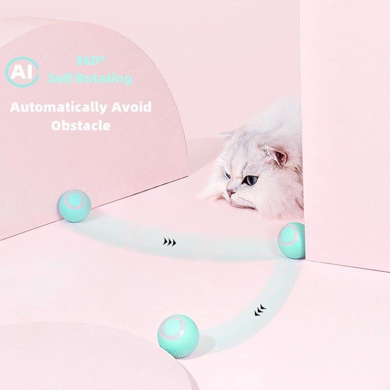 Smart Cat Interactive Ball Toys - Pretty Little Wish.com