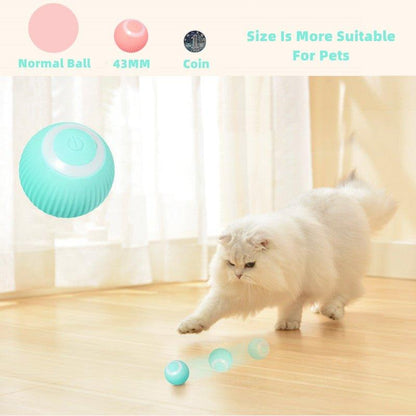 Smart Cat Interactive Ball Toys - Pretty Little Wish.com